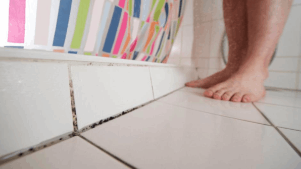 Hygiene